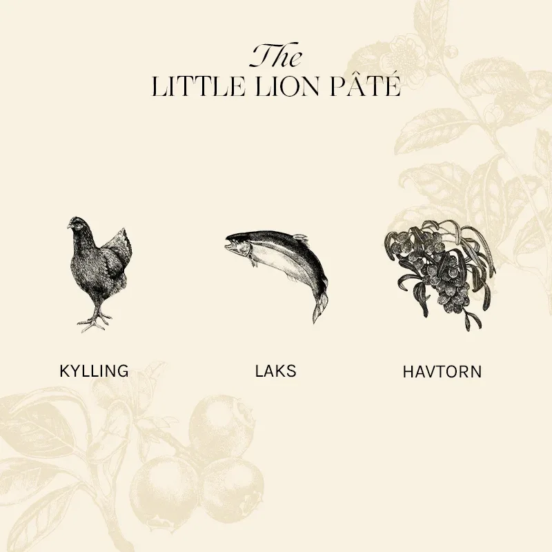 Kitten The Little Lion Pâté kylling, lever & kalkun 12x85 g - Image 2