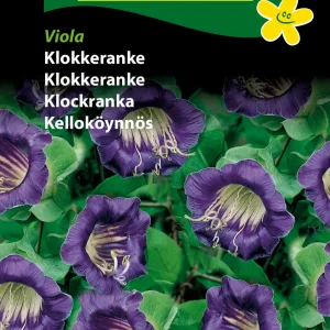 Klokkeranke, Viola (D) 1701