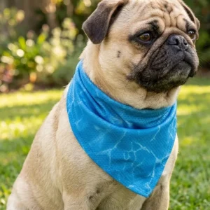 Kølende Bandana til Hund