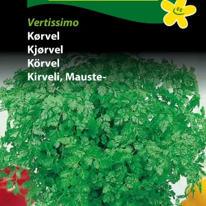 Kørvel, Commun (B) 1110