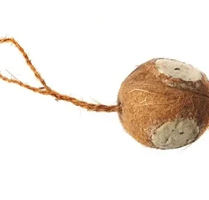 Kokosnød 3 huller, med fedt og melorme til fuglene i haven