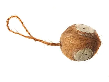 Kokosnød 3 huller, med fedt og melorme til fuglene i haven