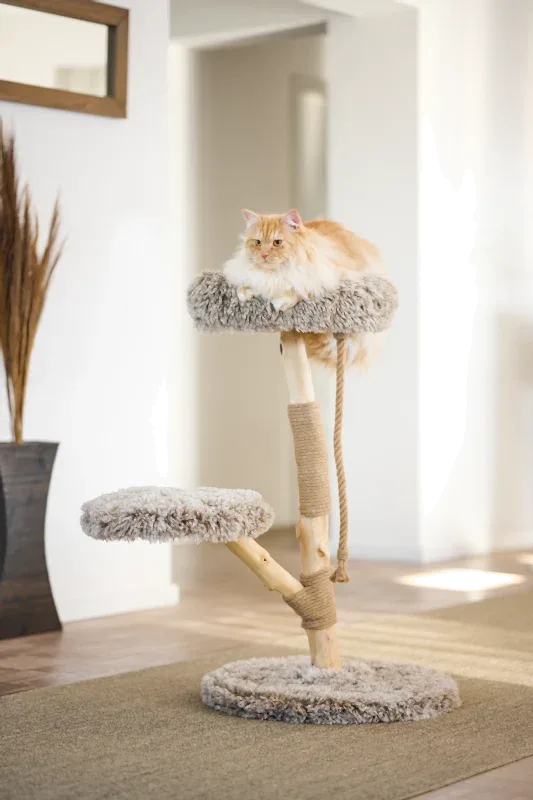 Kradsetræ Kian 0 - Image 2