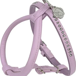 Kunstlædersele Deluxe XS rosa