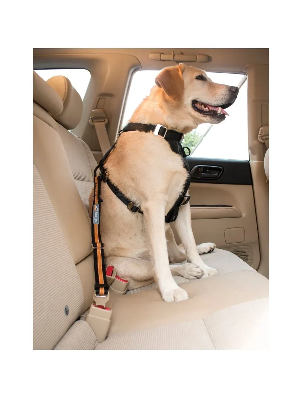 Kurgo Direct to Seatbelt strop til bil - Image 2