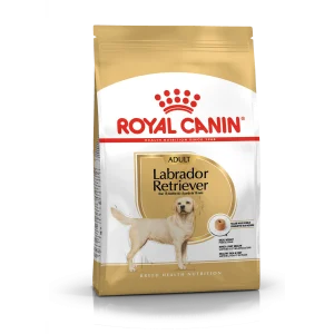 Labrador Retriever Adult 12 kg