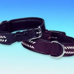 Læderhalsbånd Loreto Sort 35 cm