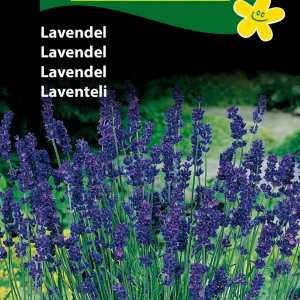 Lavendel, blå ( C) 1111