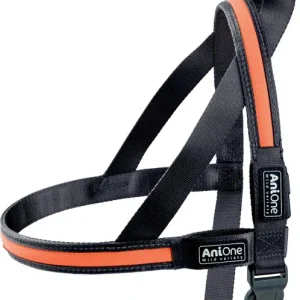 LED sele S 2,5 x 50-65 cm orange
