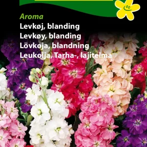 Levkøj, blanding, Aroma (B) 1707