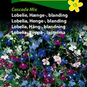 Lobelie, Hænge-, bland., Cascade Mix (C) 1862