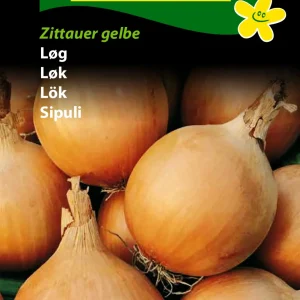Løg, Giant Zittau (B) 1279