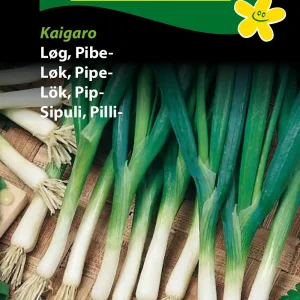 Løg, Pibe-, Kaigaro (D) 1280