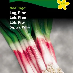 Løg, Pibe-, Red Toga (D) 1281