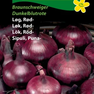 Løg, Rød-, Braunschweiger Dunkelbl. ( C) 1391