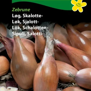 Løg, Skalotte-, Zebrune (D) 1392