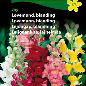 Løvemund, blanding, Joy (A) 1709