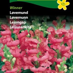 Løvemund, Winner (C) 1821