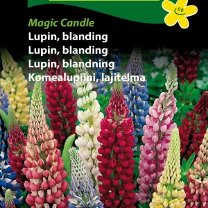 Lupin, blanding, Magic Candle (D) 1708