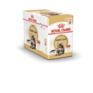 Maine Coon Adult Gravy 12×85 g