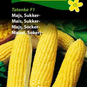 Majs, Sukker- Sweet Nugget F1 (F) 1282