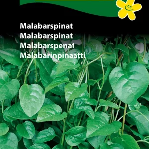 Malabarspinat (C) 1406