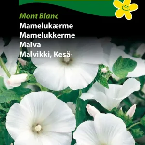 Mamelukærme, Mont Blanc (D) 1711