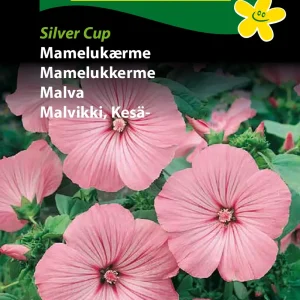 Mamelukærme, Silver Cup (D) 1712