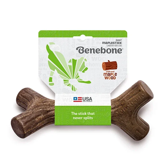 Maplestick giant - Image 2