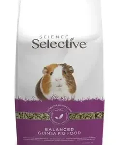 Marsvin adult 3 kg