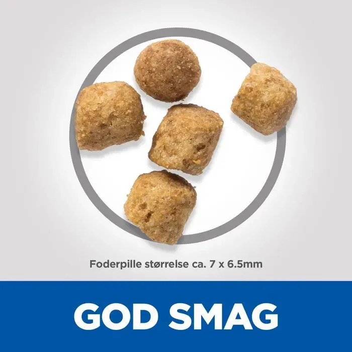 Mature Sterilised - Image 2