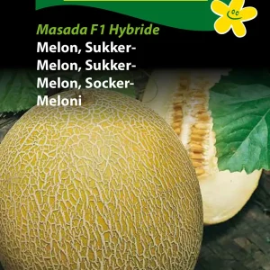 Melon, Sukker-, Masada F1 Hybride (F) 1283