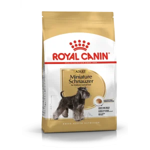 Miniature Schnauzer Adult