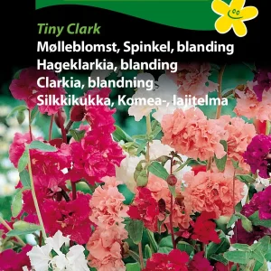 Mølleblomst, Spinkel, blanding, (C) 1835