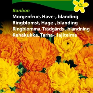 Morgenfrue, Have-, blanding, Bonbon (D) 1720