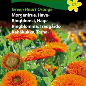 Morgenfrue, Have-, Green Heart Orange (C) 1867