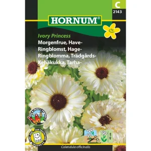 Morgenfrue, Have-, Ivory Princess ( C) 2143