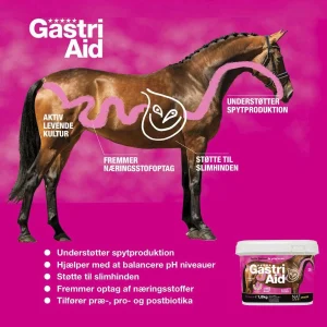 NAF GastriAid