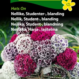 Nellike, Studenter-, bl., Hats On (C) 1836