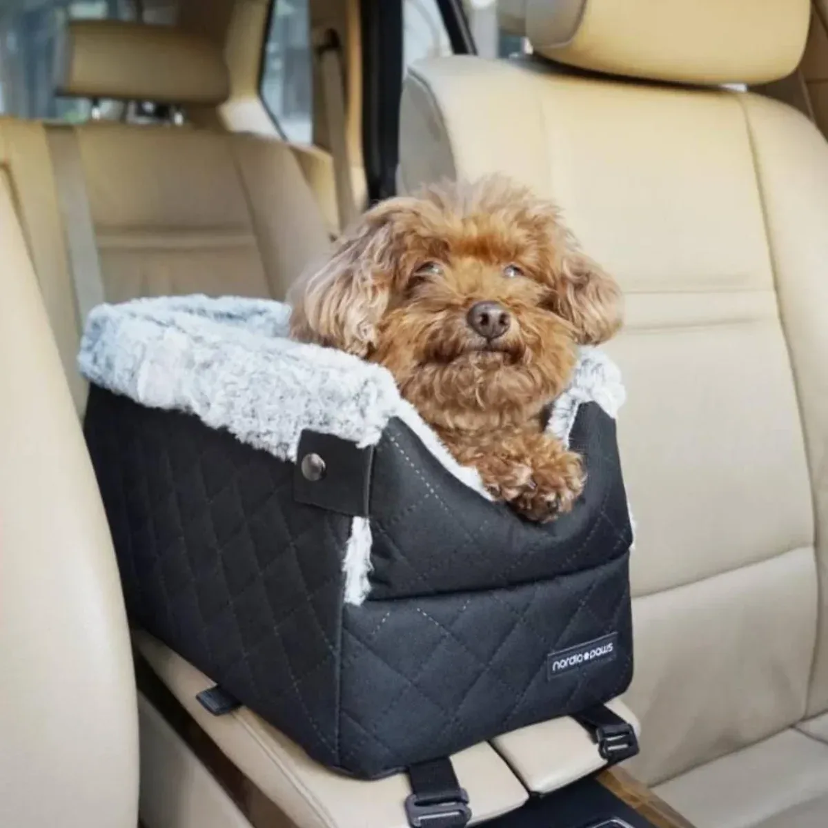 Nordic Paws Molly bilsæde mini – komfortabelt bilsæde til små hunde