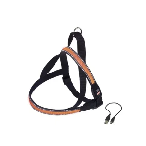 NORWEGIAN Sele FLASH MESH
