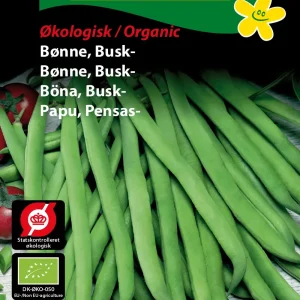 ØKO, Bønne, Busk-, Maxi (E) 1918