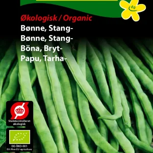 ØKO, Bønne, Stang-, Neckarkönigin (D) 1922