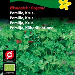 ØKO, Persille, Krus-, Grüne Perle (D) 1907