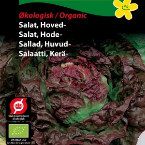 ØKO, Salat, Hoved-,Merveille des q.s.(D) 1914
