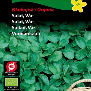 ØKO, Salat, Vår-, Vit (D) 1913