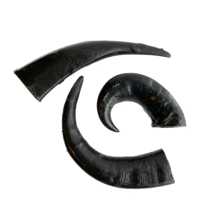 Oksehorn 20-25 cm