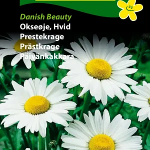 Okseøje, Danish Beauty (B) 1713