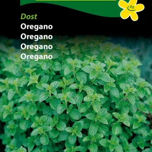 Oregano, Dost (C) 1114