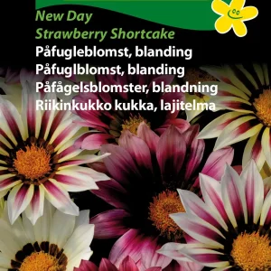 Påfugleblomst, bl., New Day Straw.S. (D) 1854
